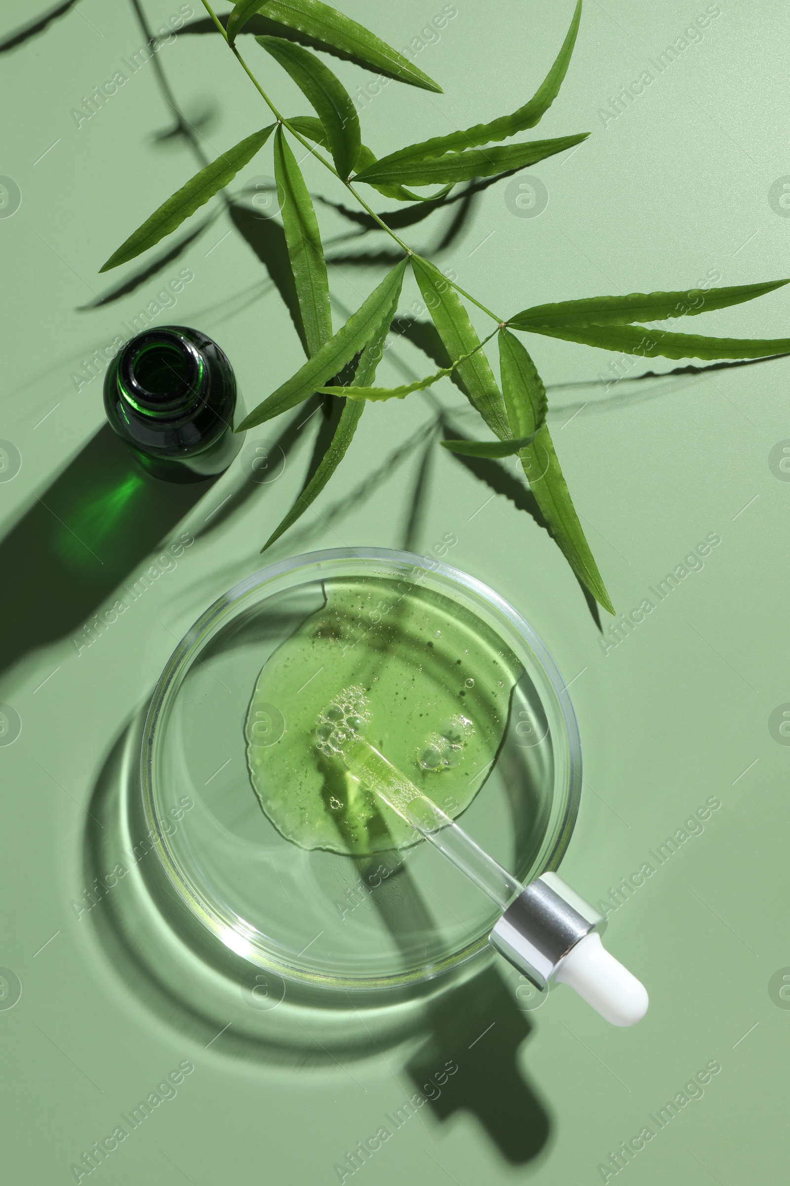 Photo of Petri dish with cosmetic product, bottle, pipette and leaves on green background, flat lay