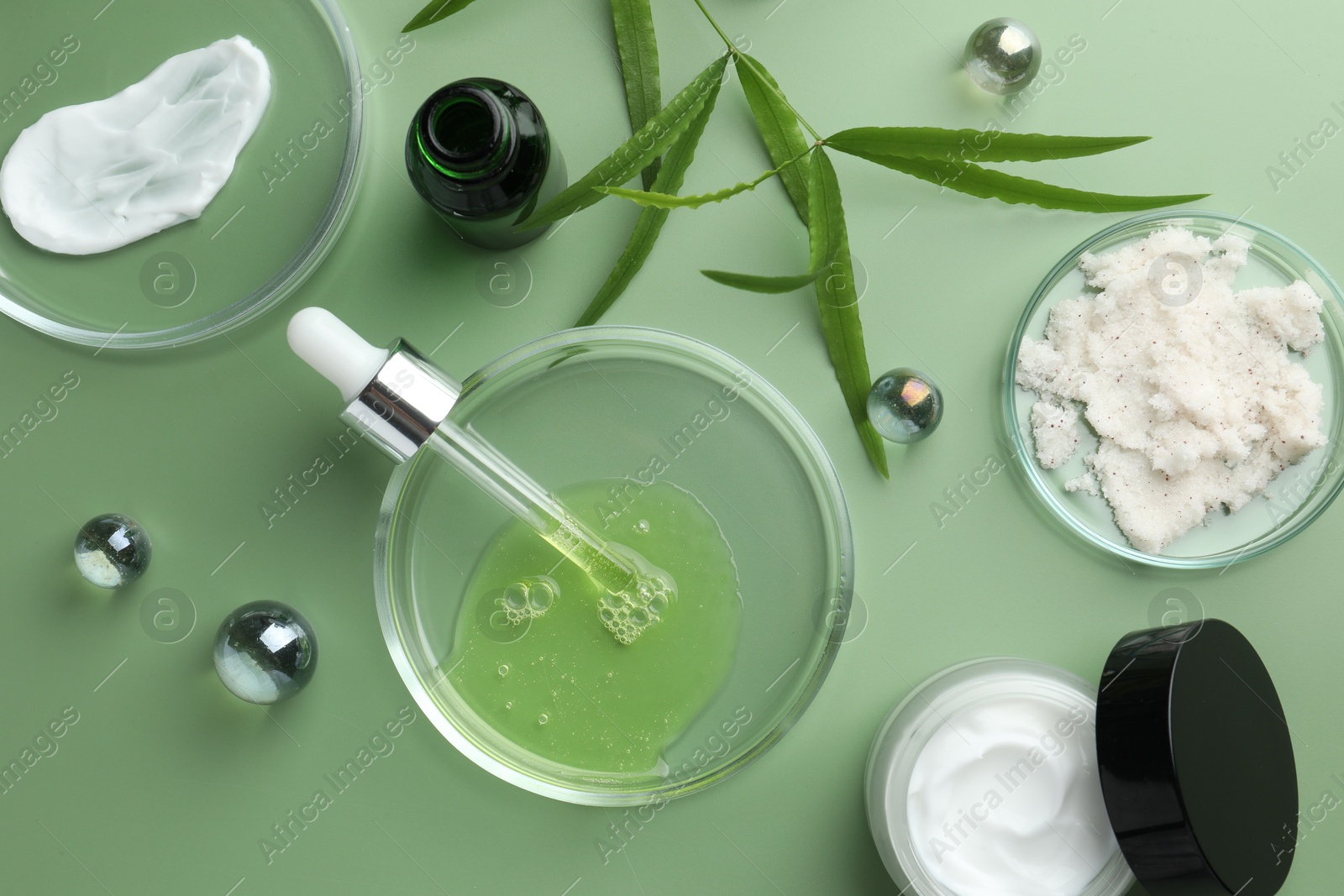 Photo of Petri dishes with cosmetic products, pipette and leaves on green background, flat lay