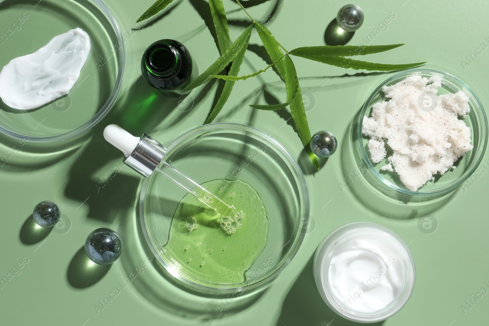 Photo of Petri dishes with cosmetic products, pipette and leaves on green background, flat lay