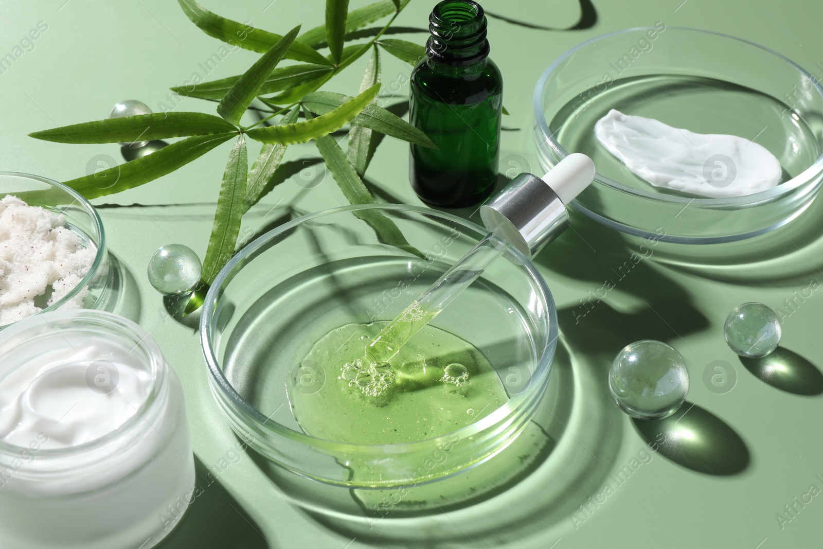 Photo of Petri dishes with cosmetic products, pipette and leaves on green background, closeup