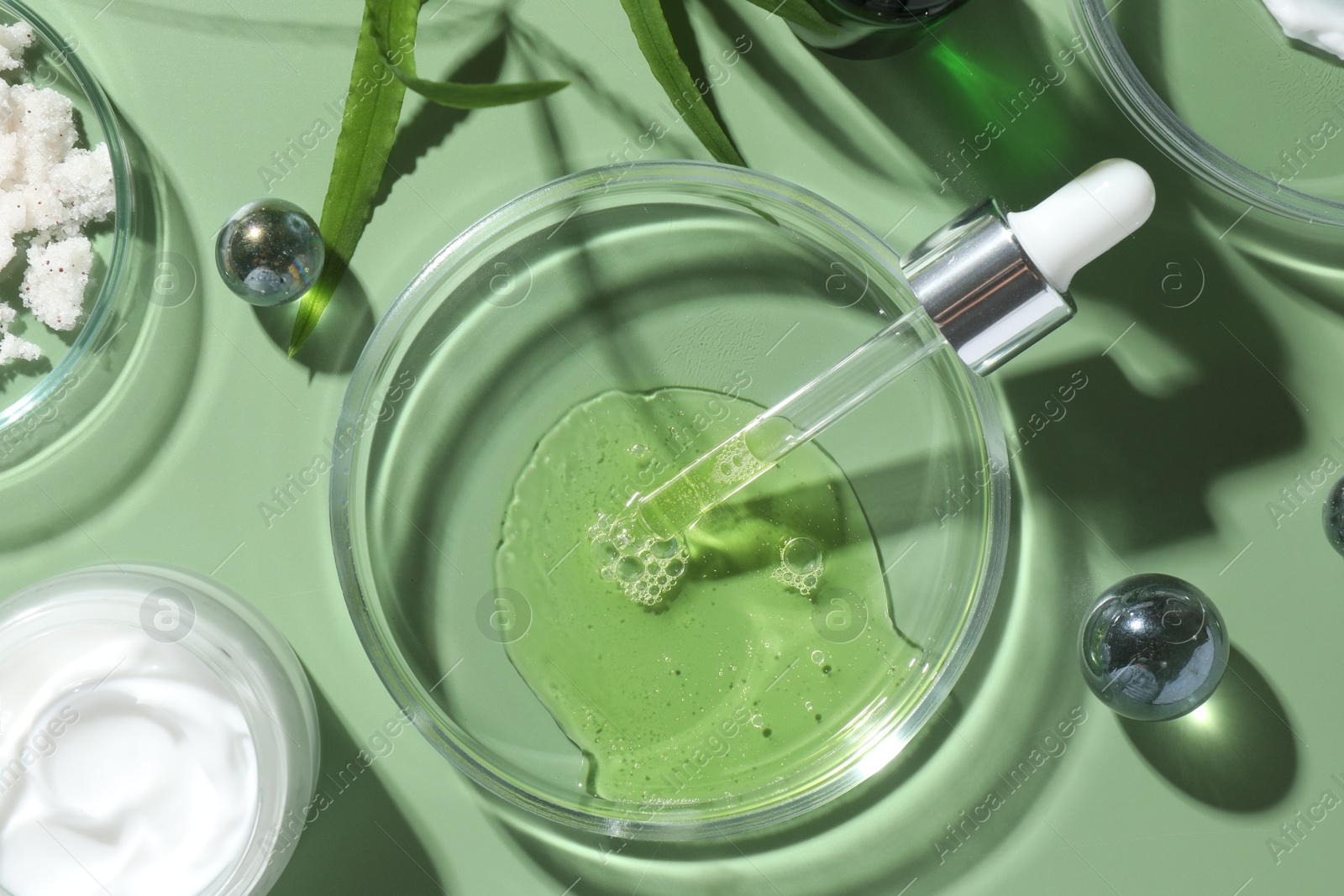 Photo of Petri dishes with cosmetic products, pipette and leaves on green background, flat lay