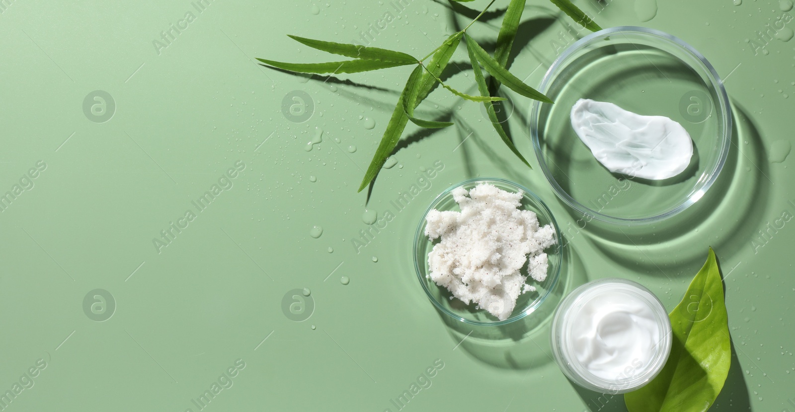 Photo of Petri dishes with cosmetic products and leaves on green background, flat lay. Space for text