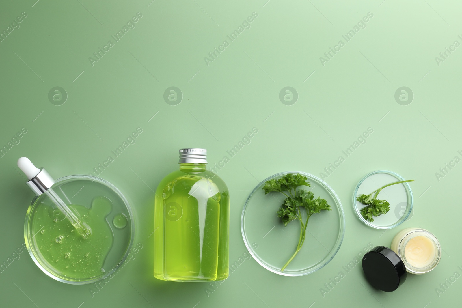 Photo of Petri dishes with cosmetic products, pipette and parsley on green background, flat lay. Space for text