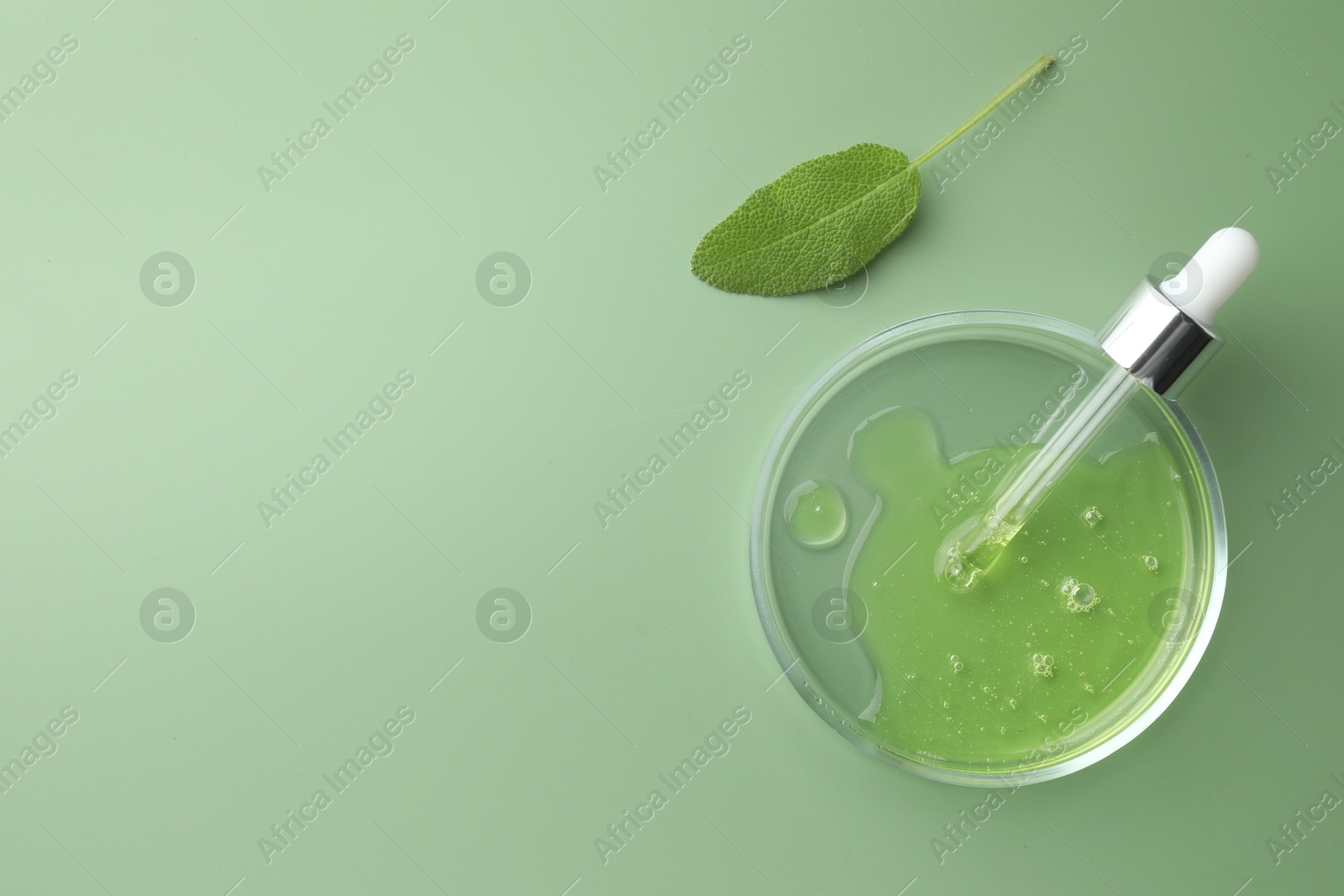 Photo of Petri dish with cosmetic product, pipette and leaf on green background, flat lay. Space for text