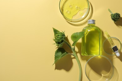 Petri dishes with cosmetic product, bottle, pipette and sunflowers on yellow background, flat lay. Space for text