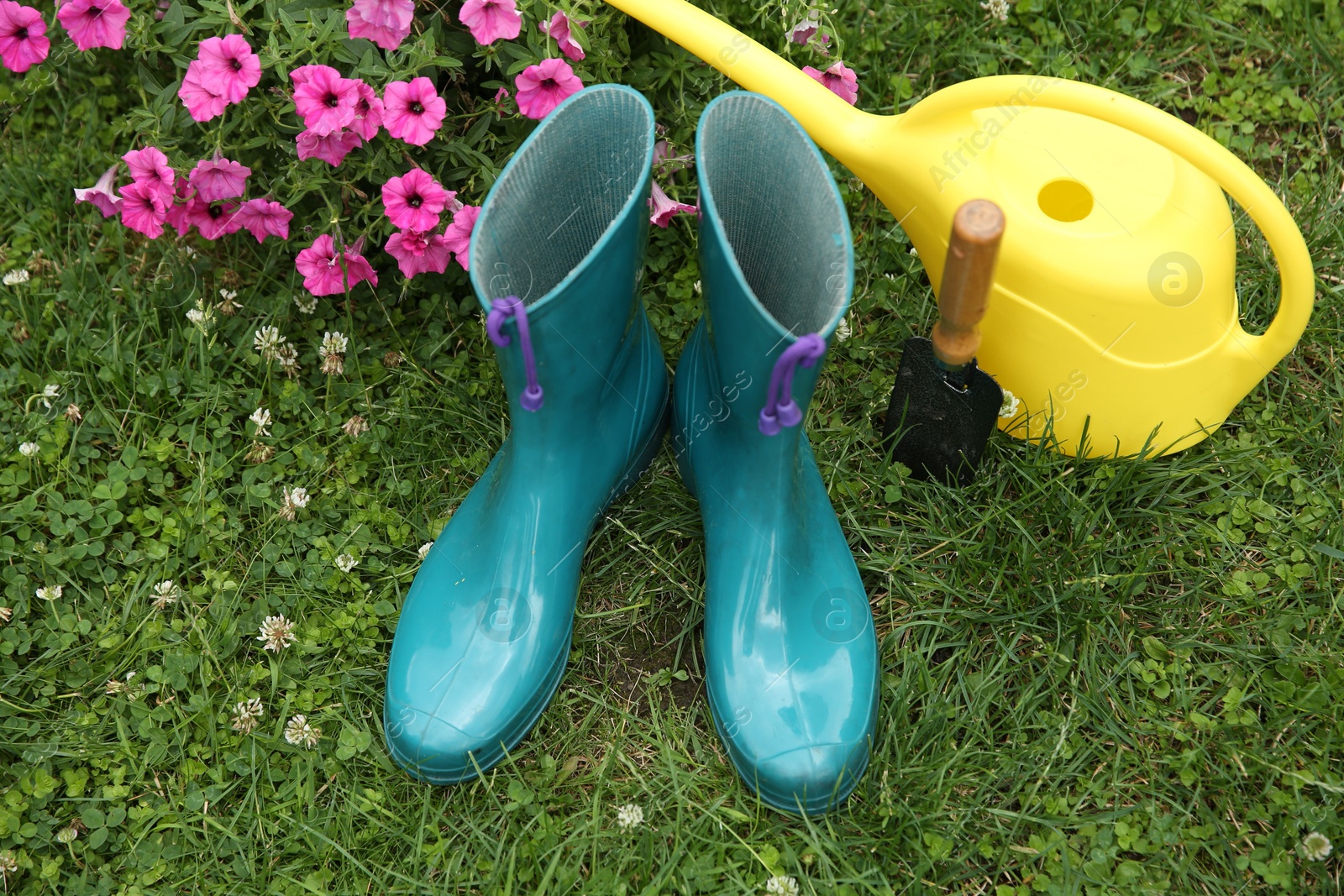 Photo of Rubber boots, gardening tools and petunia flowers on green grass outdoors