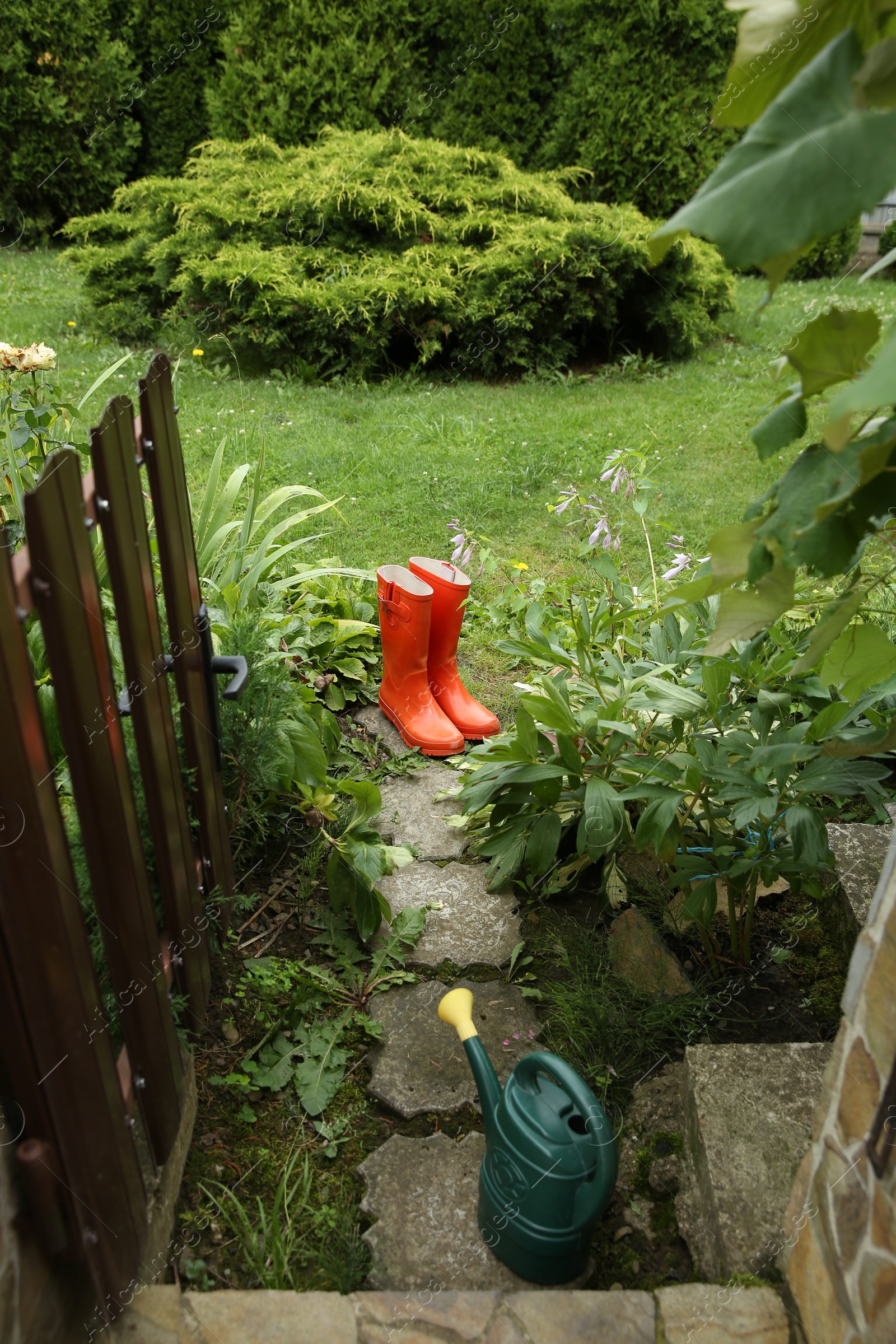 Photo of Orange rubber boots and watering can outdoors