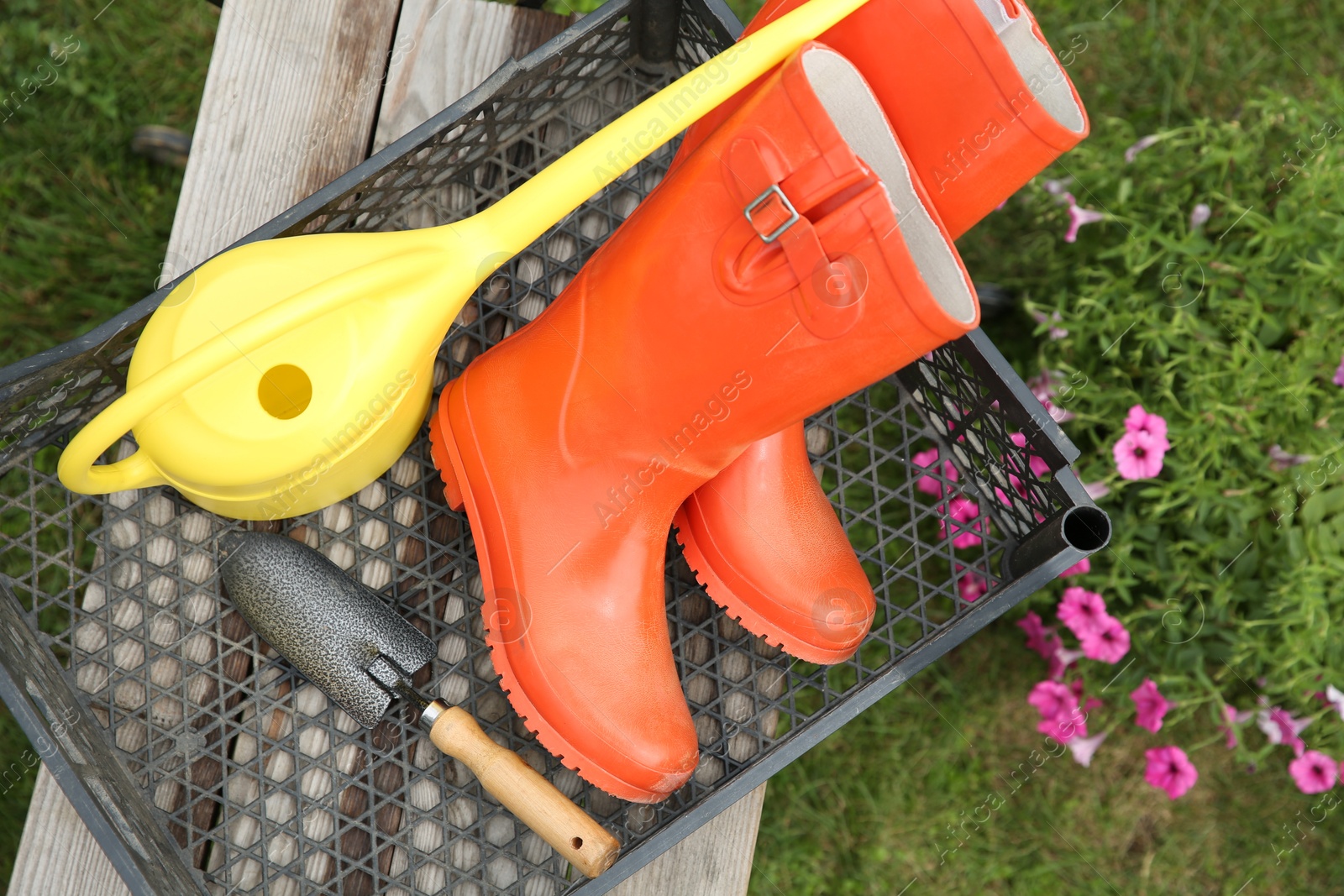 Photo of Orange rubber boots and gardening tools in crate outdoors, top view