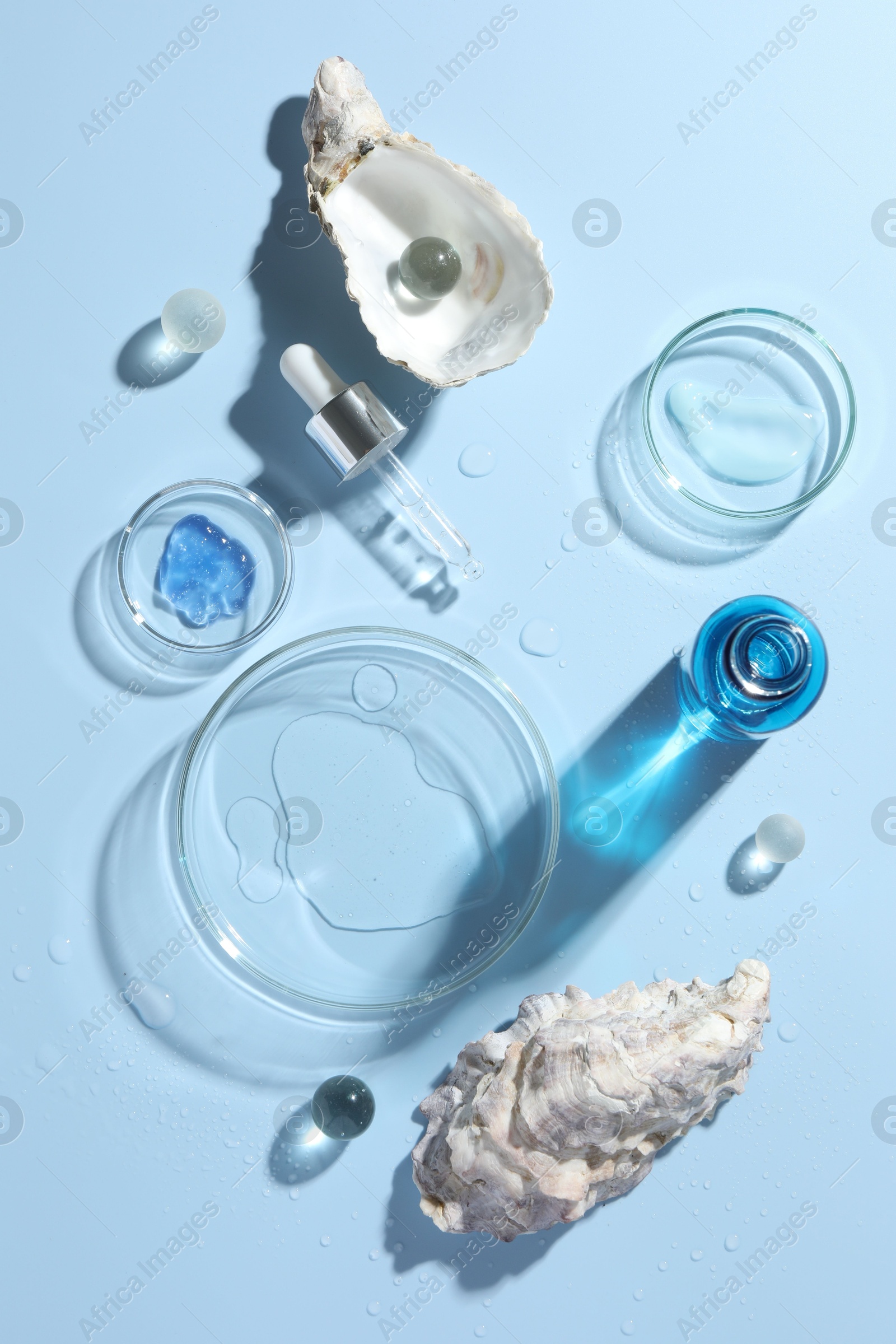 Photo of Petri dishes with cosmetic product, pipette and seashells on light blue background, flat lay