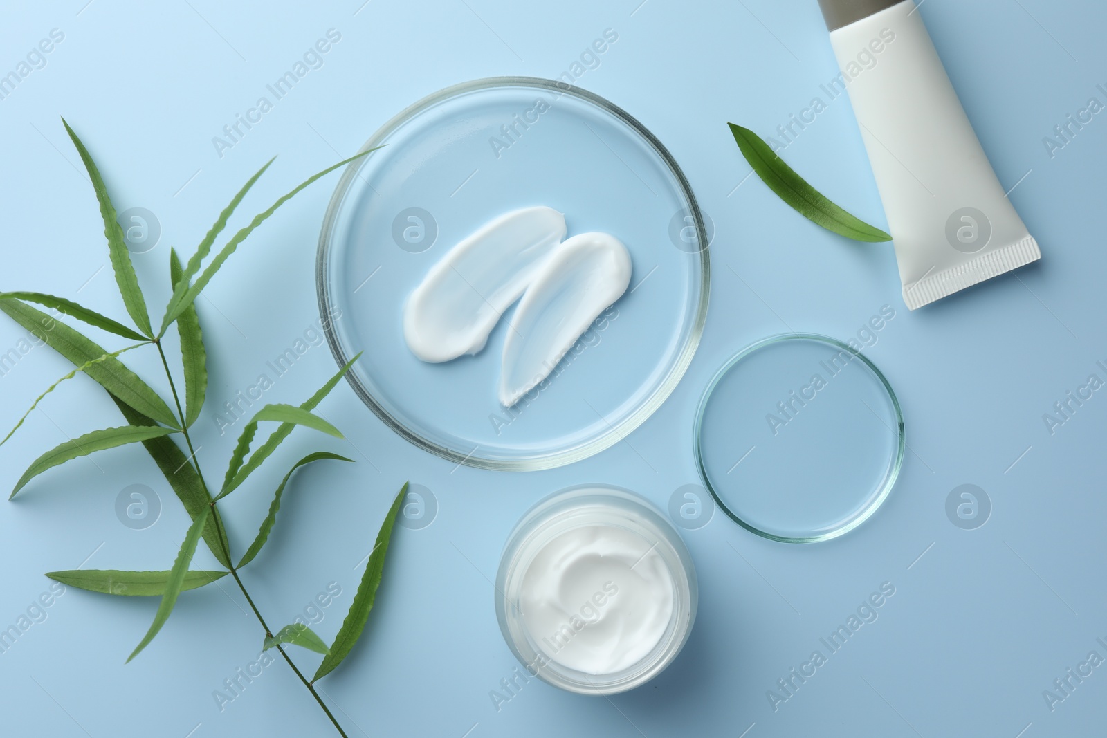 Photo of Petri dishes with cosmetic product and leaves on light blue background, flat lay