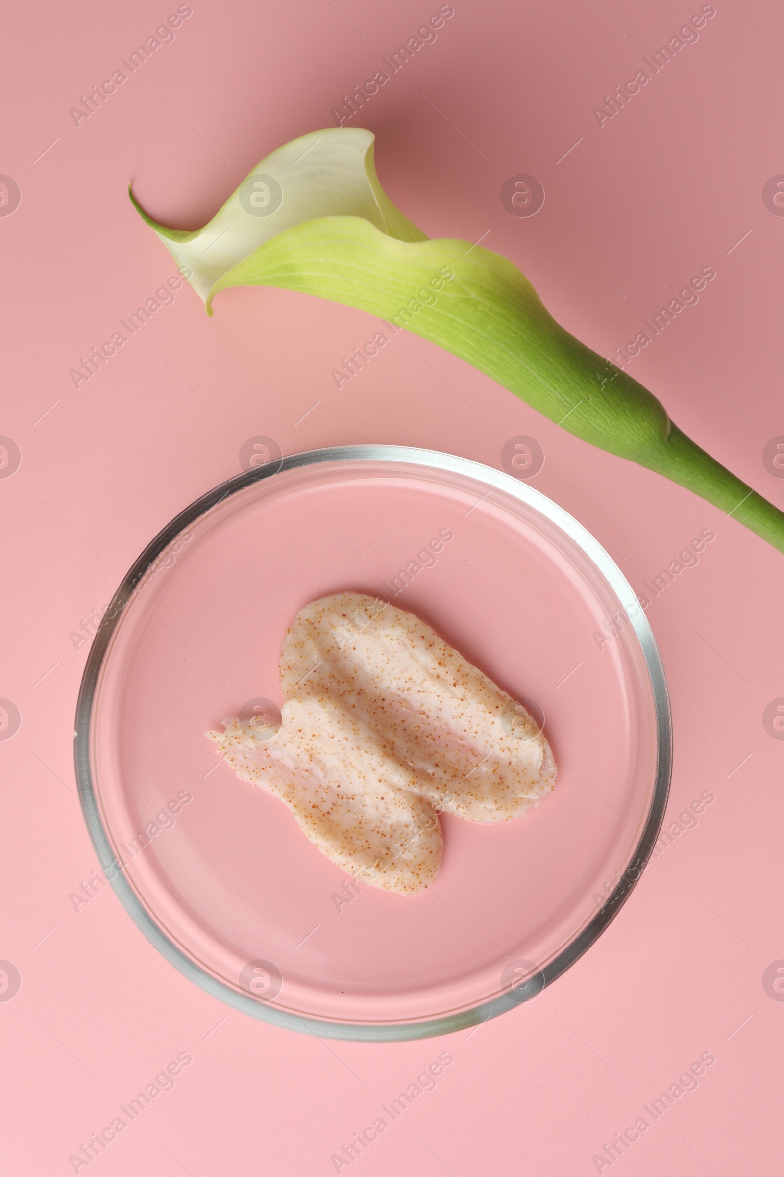 Photo of Petri dish with cosmetic product and calla lily flower on pink background, flat lay