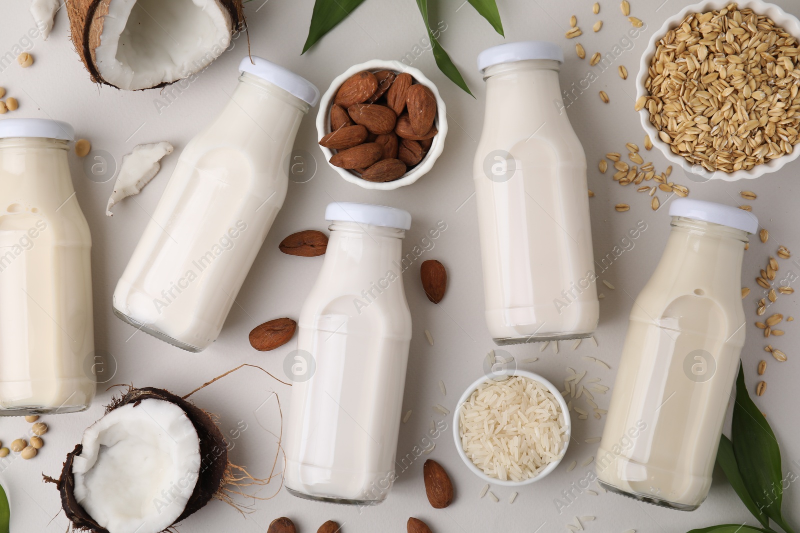 Photo of Different types of vegan milk in bottles with ingredients and leaves on light grey table, flat lay