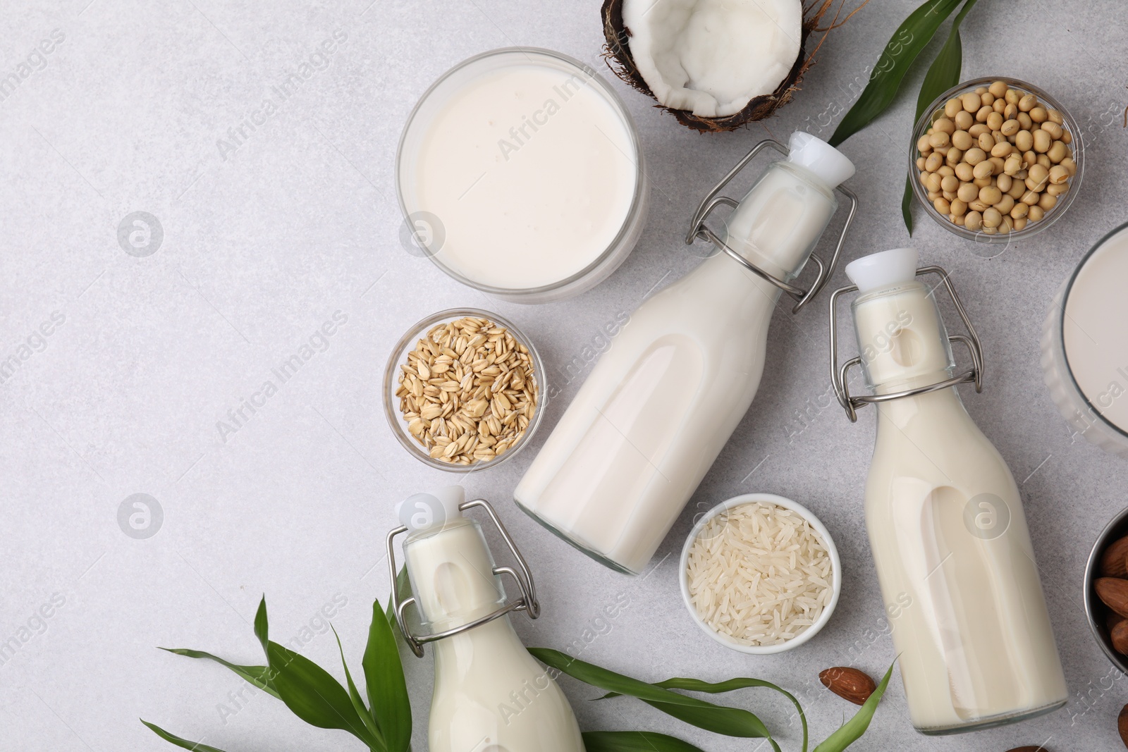 Photo of Different types of vegan milk with ingredients and leaves on light grey table, flat lay. Space for text