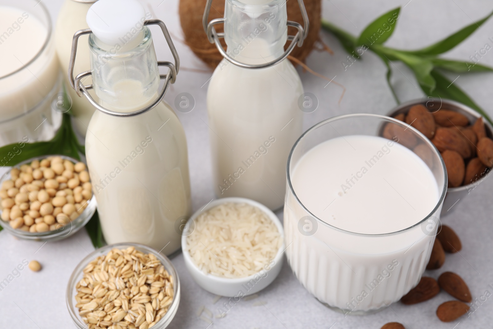 Photo of Different types of vegan milk and ingredients on light grey table, closeup