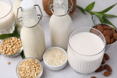 Different types of vegan milk and ingredients on light grey table, closeup