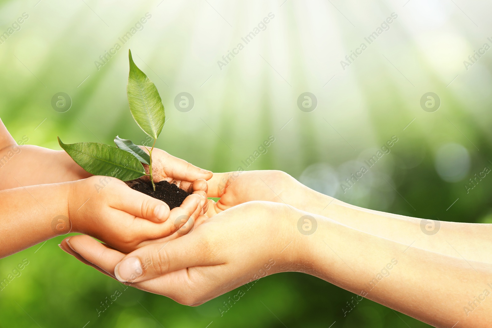 Image of Woman and her child holding soil with green plant in hands against blurred background. Environment protection