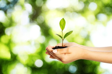 Image of Woman holding soil with green plant in hands against blurred background. Environment protection