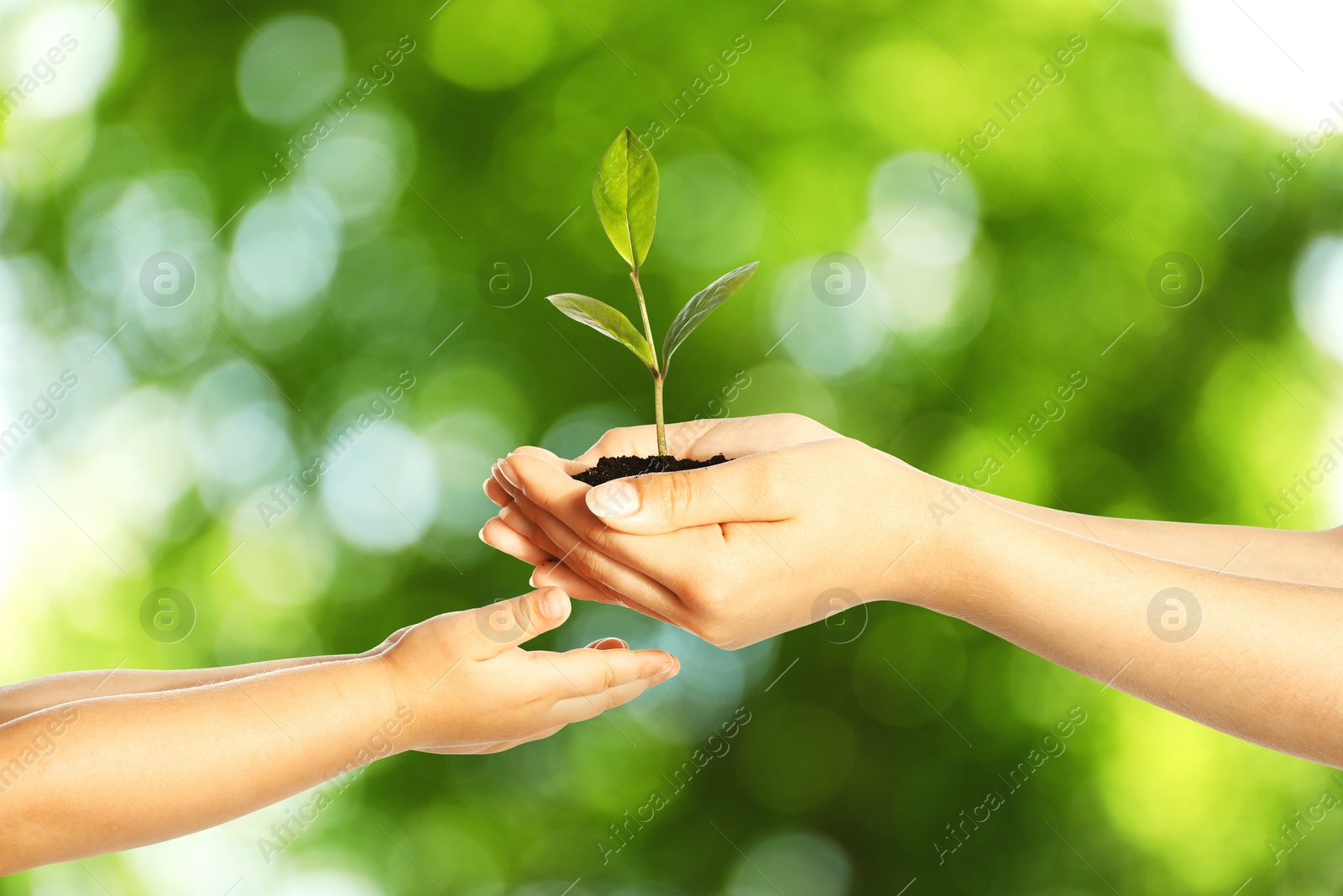 Image of Woman passing soil with green plant to her child against blurred background. Environment protection