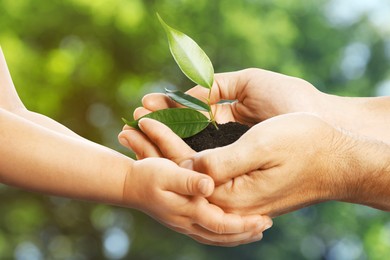 Man and his child holding soil with green plant in hands against blurred background. Environment protection