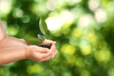 Image of Child holding soil with green plant in hands against blurred background. Environment protection