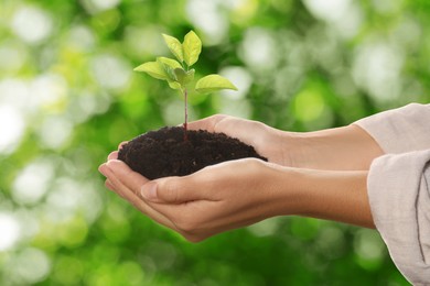 Image of Woman holding soil with young green plant in hands against blurred background. Environment protection