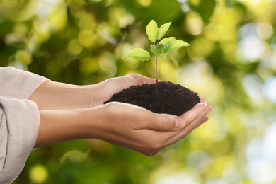 Image of Woman holding soil with young green plant in hands against blurred background. Environment protection