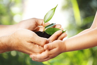 Image of Man and his child holding soil with green plant in hands against blurred background. Environment protection