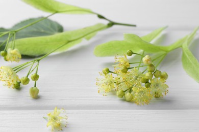 Fresh linden leaves and flowers on white wooden table, closeup