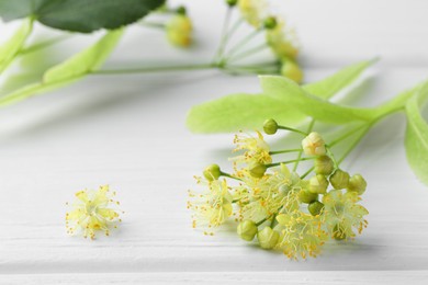 Fresh linden leaves and flowers on white wooden table, closeup