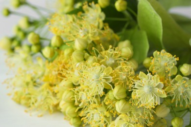 Photo of Fresh linden leaves and flowers on white wooden table, closeup