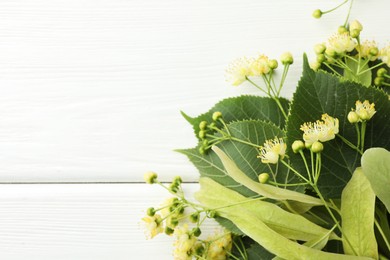 Photo of Fresh linden leaves and flowers in bag on white wooden table, top view. Space for text