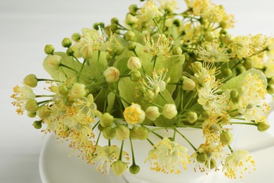 Fresh linden leaves and flowers in cup on white table, closeup