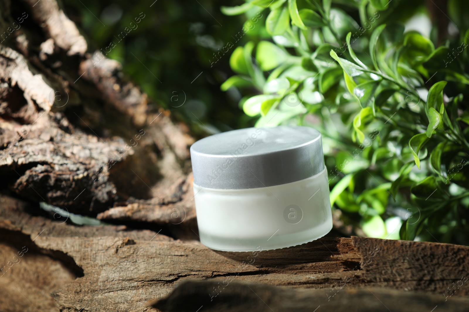 Photo of Stylish presentation of facial cream in jar outdoors