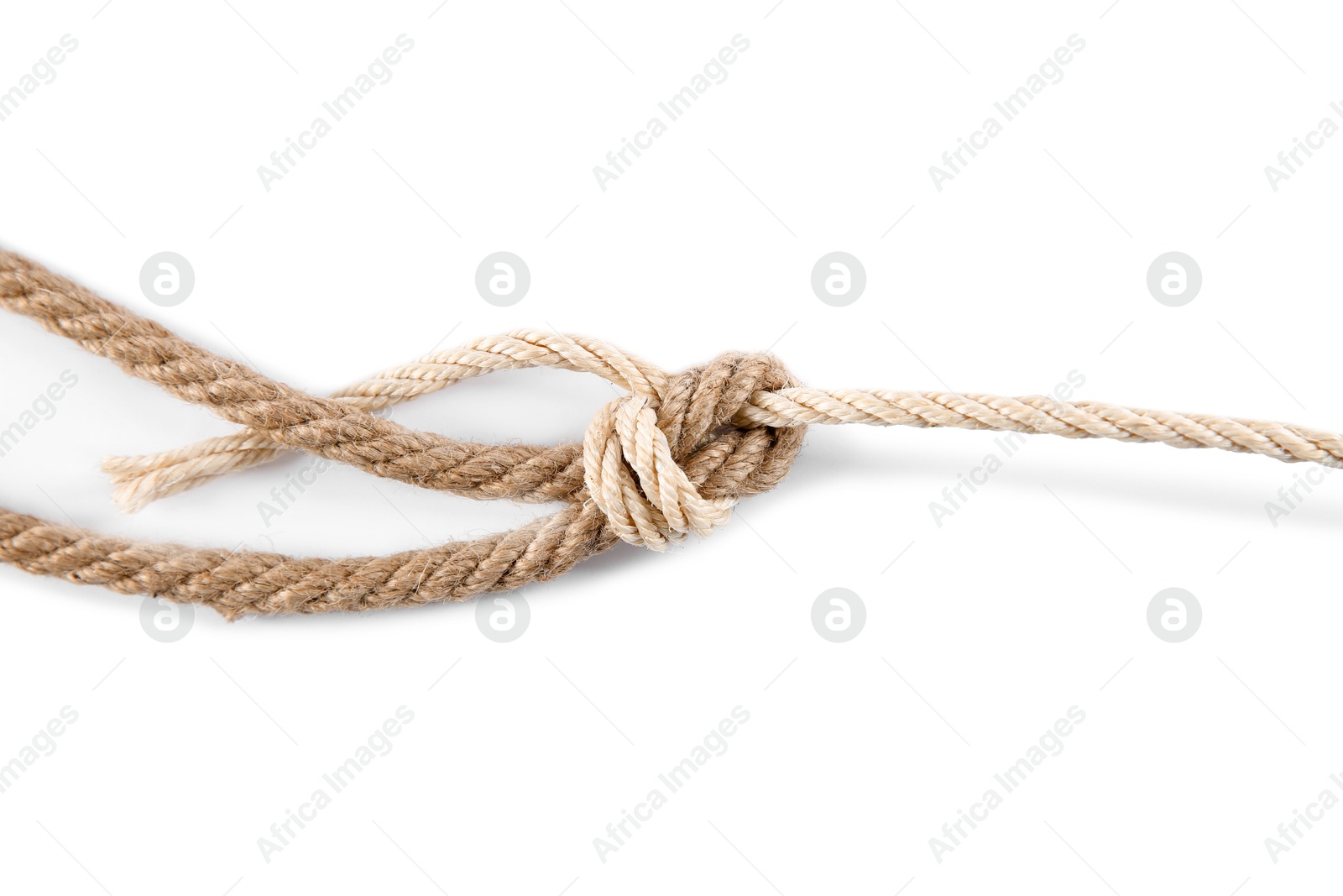 Photo of Hemp ropes with knots isolated on white