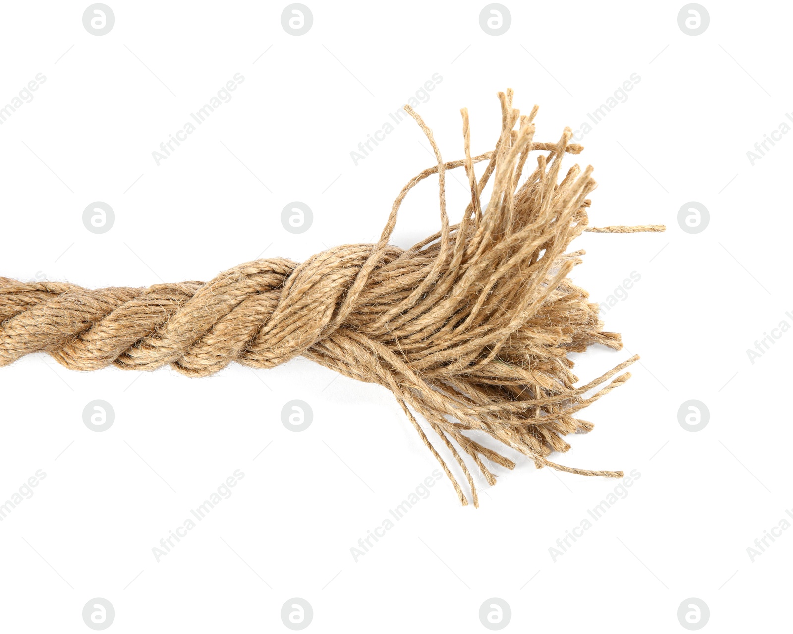 Photo of Hemp rope isolated on white. Organic material