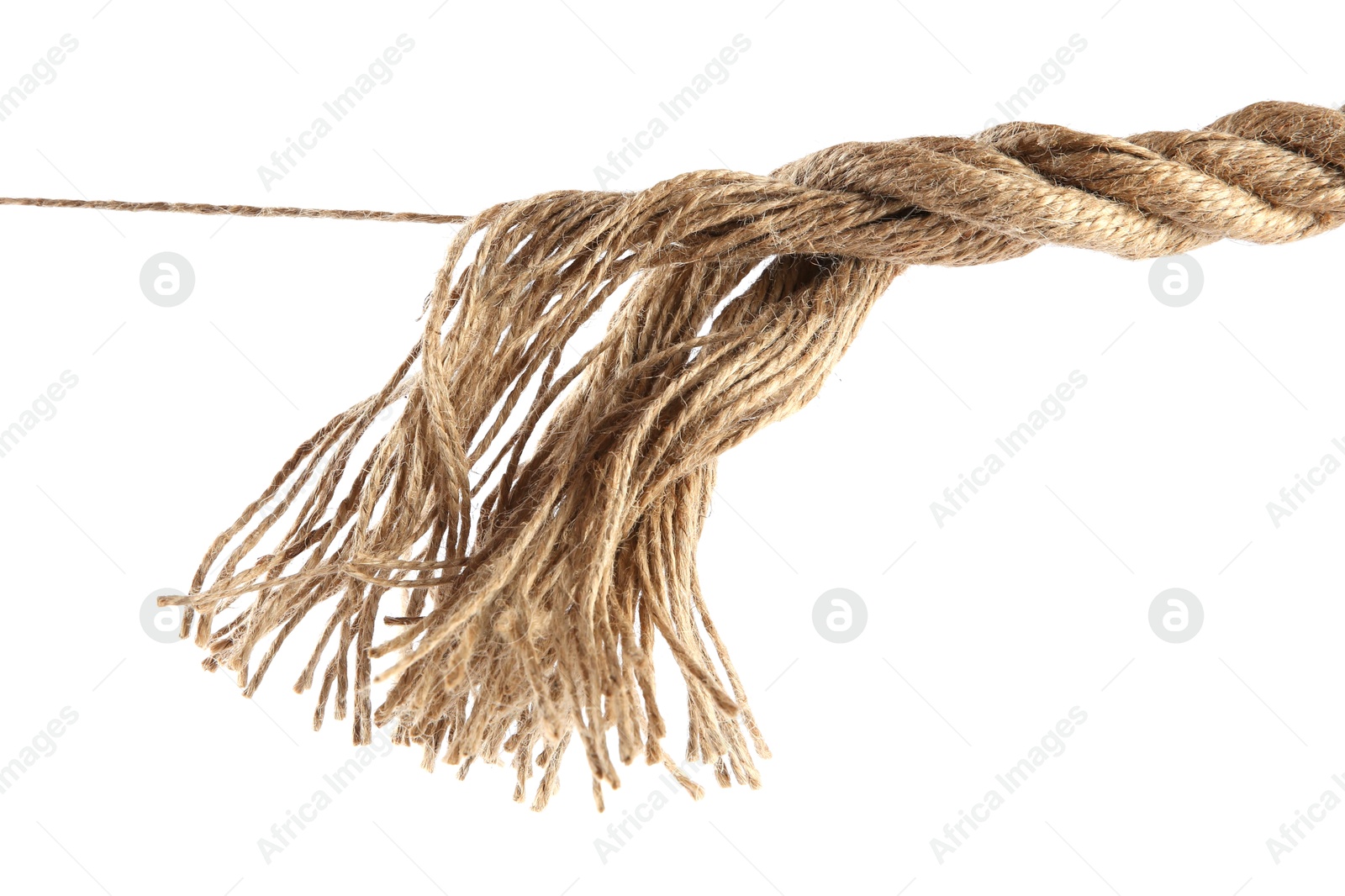 Photo of Hemp rope isolated on white. Organic material