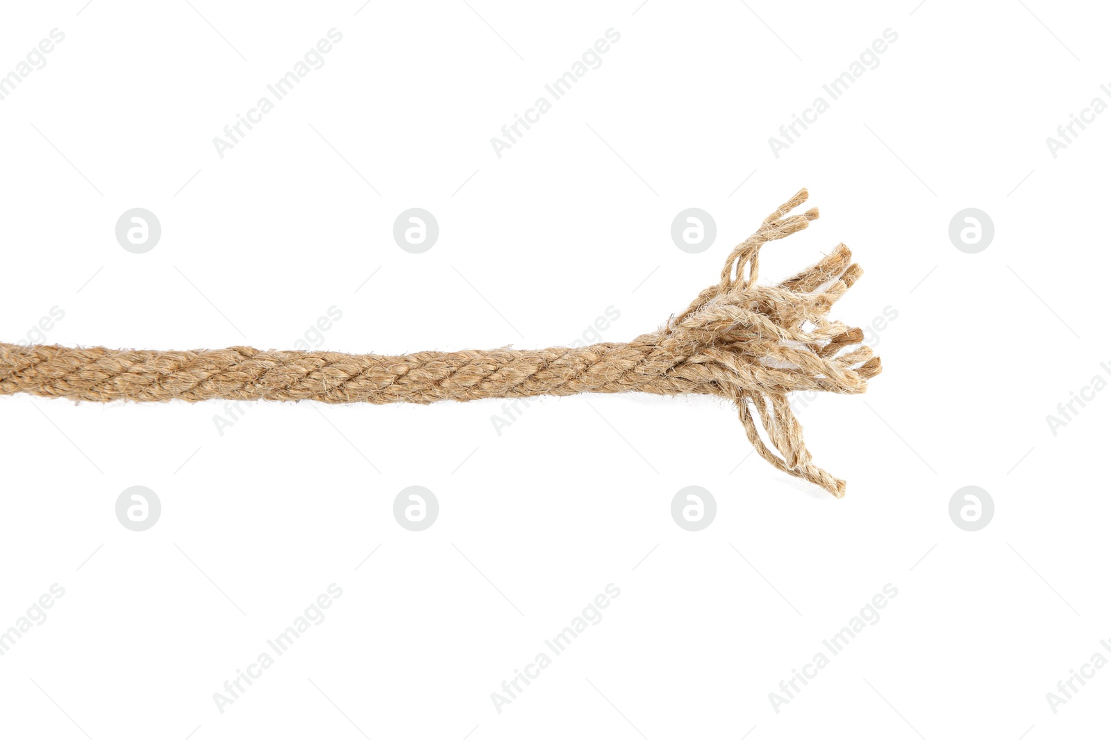 Photo of Hemp rope isolated on white. Organic material