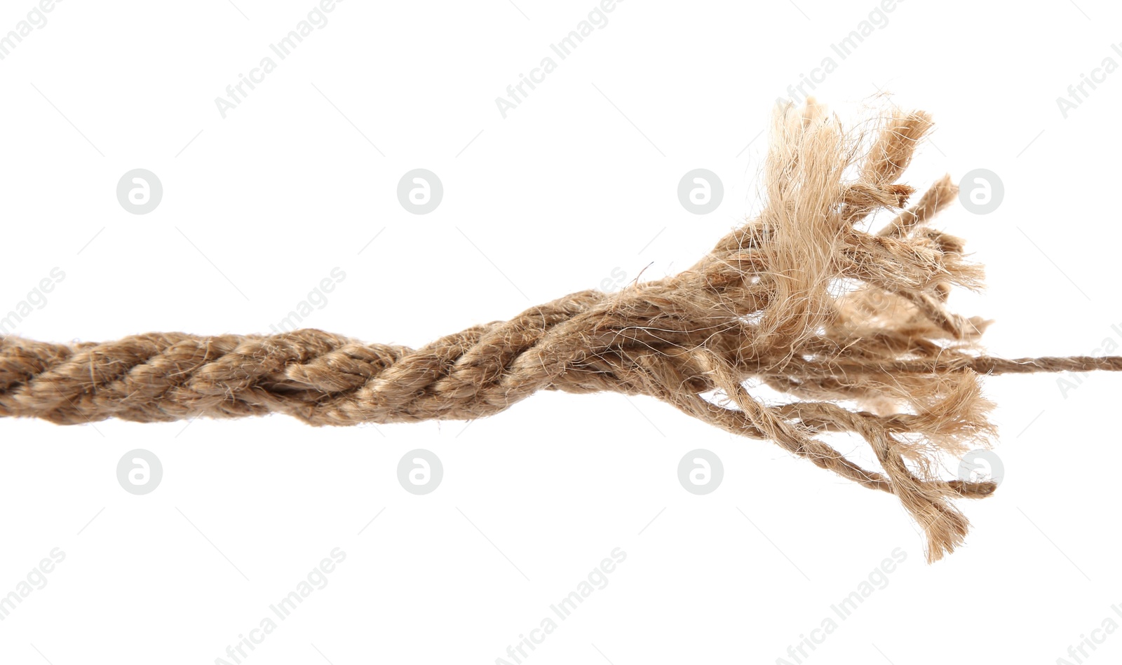 Photo of Hemp rope isolated on white. Organic material