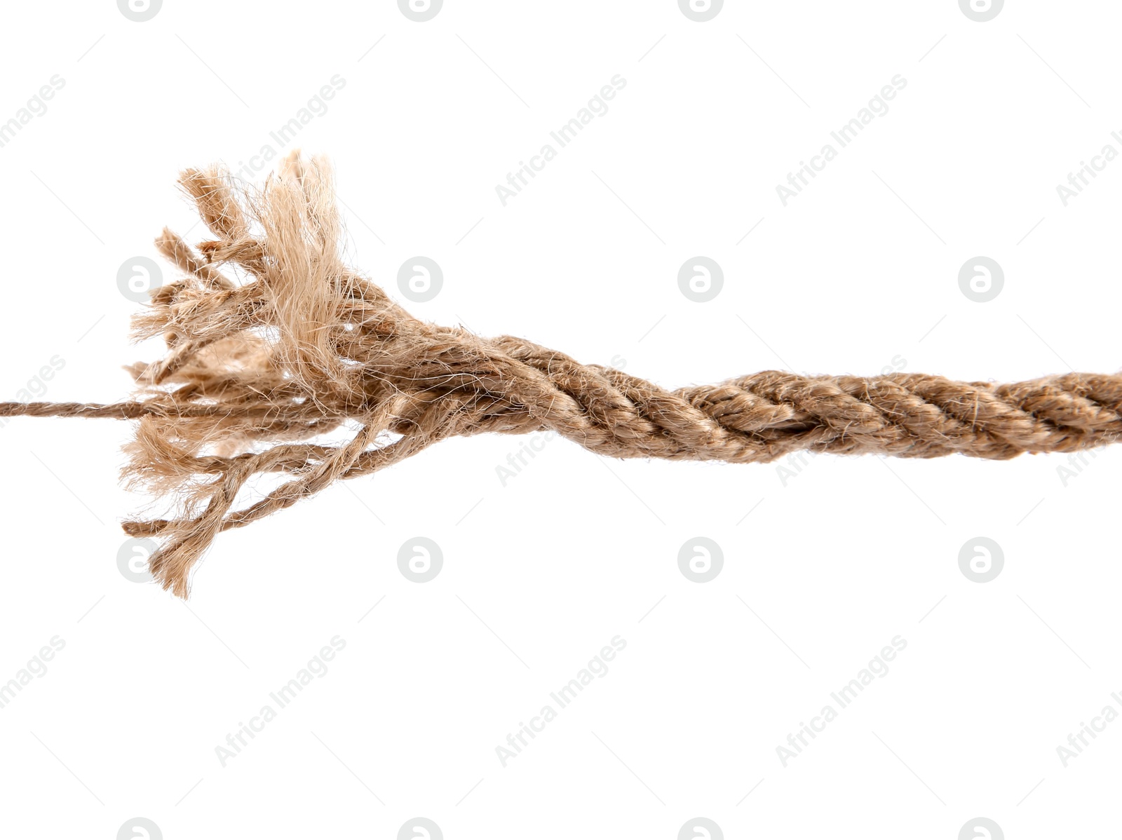 Photo of Hemp rope isolated on white. Organic material