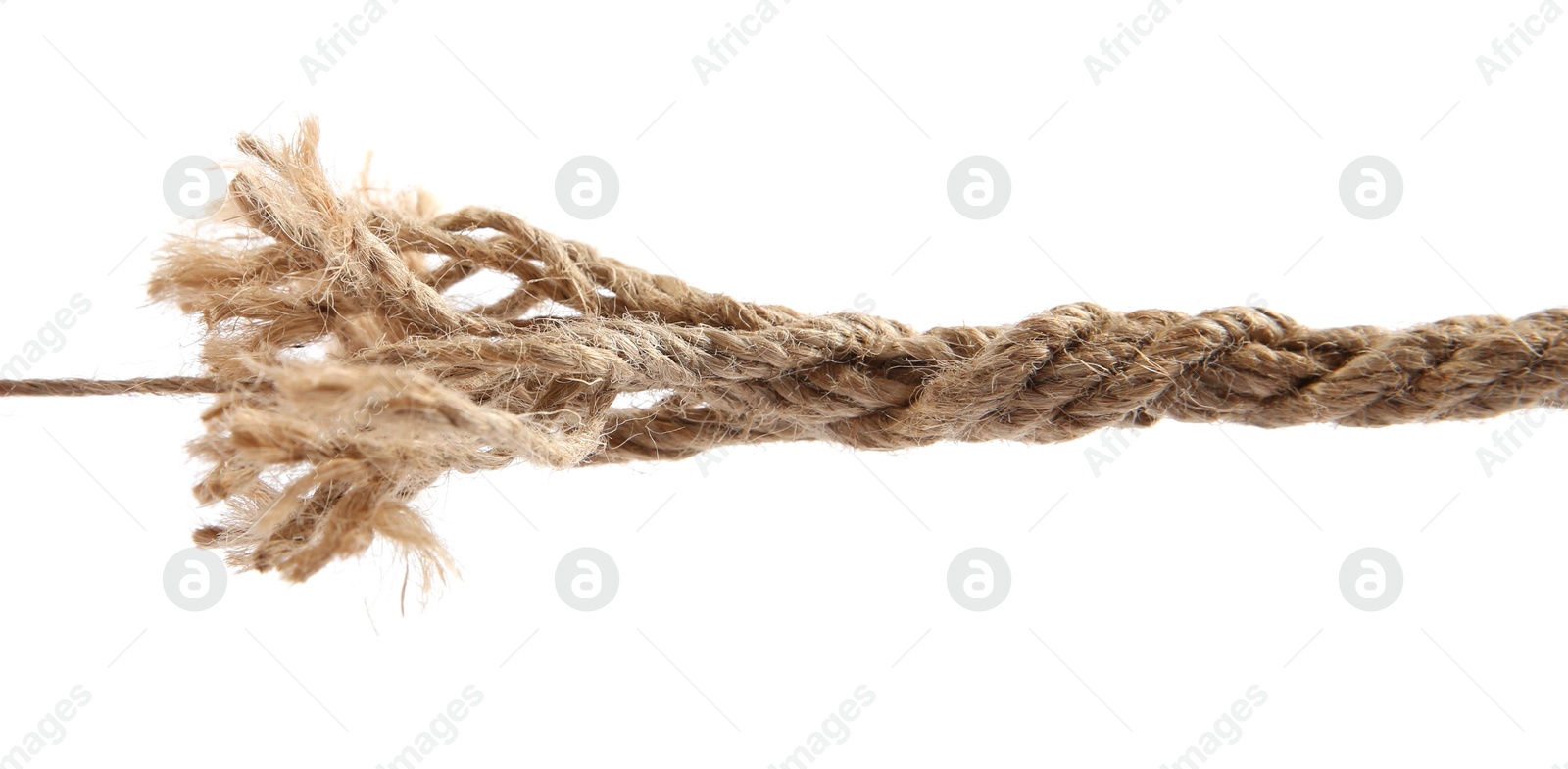 Photo of Hemp rope isolated on white. Organic material