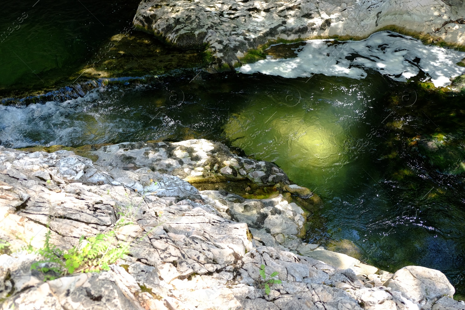 Photo of View of beautiful river in rocky mountains