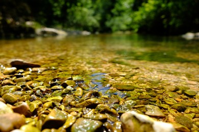 Photo of Beautiful mountain river with transparent water in park, closeup