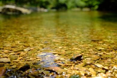 Beautiful mountain river with transparent water in park, closeup