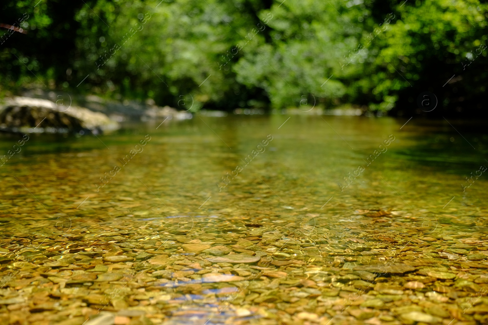 Photo of Beautiful mountain river with transparent water in park, closeup