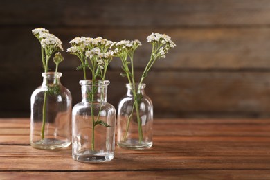 Photo of Yarrow flowers in glass bottles on wooden table, space for text
