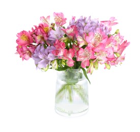 Photo of Beautiful alstroemeria flowers in vase isolated on white