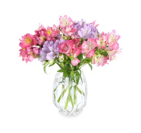 Beautiful alstroemeria flowers in vase isolated on white