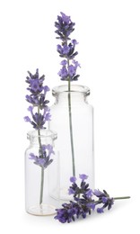 Photo of Beautiful lavender flowers in glass bottles isolated on white