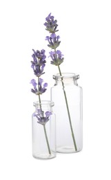 Photo of Beautiful lavender flowers in glass bottles isolated on white