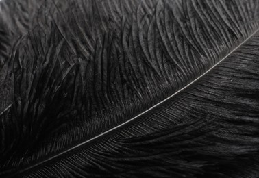 Photo of Beautiful black feather as background, closeup view